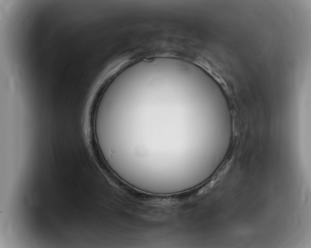 X0000100230245200805300730
