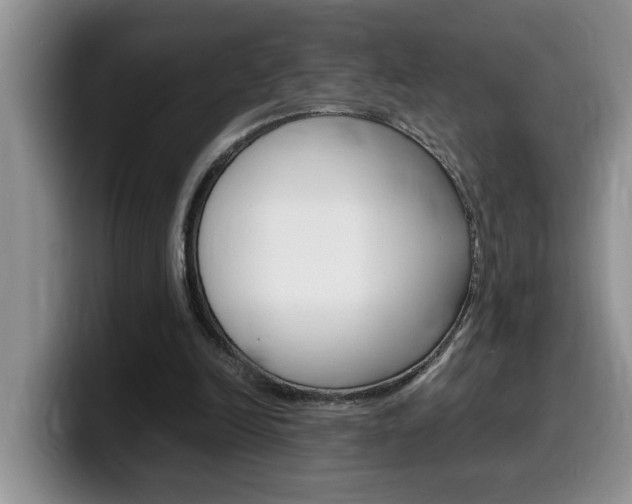 X0000100230246200805300730
