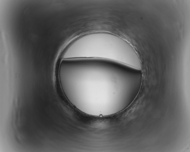X0000100230248200805300730