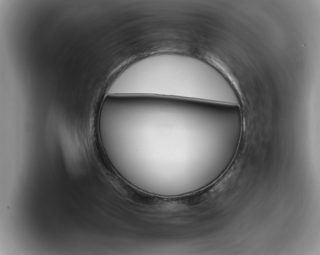 X0000100230249200805300730