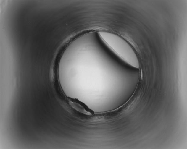 X0000100230252200805300730