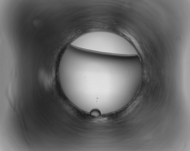 X0000100230257200805300730