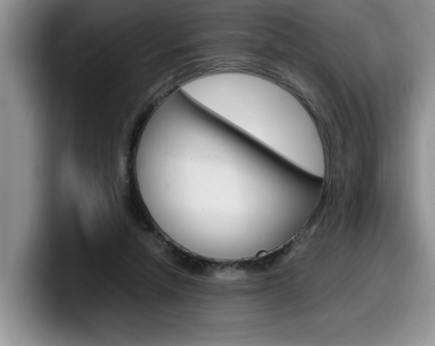X0000100230258200805300730