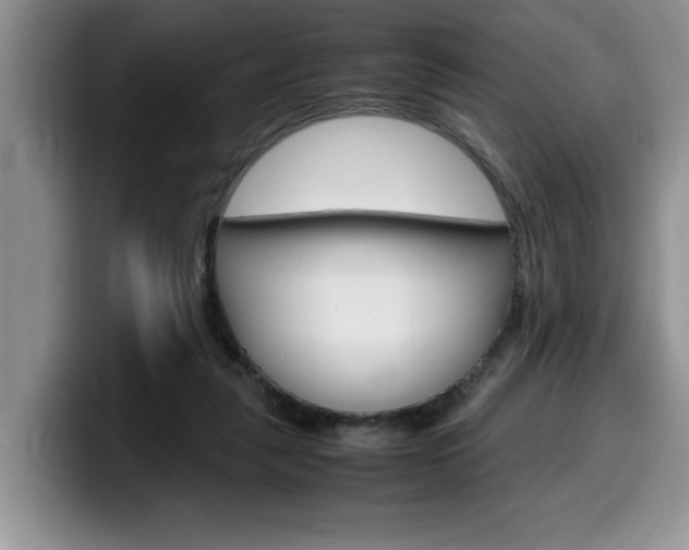 X0000100230259200805300730