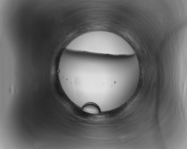 X0000100230260200805300730