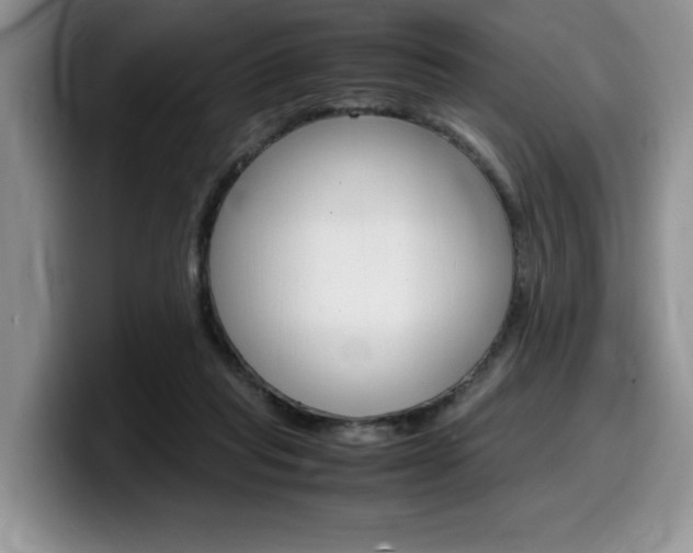 X0000100230261200805300730