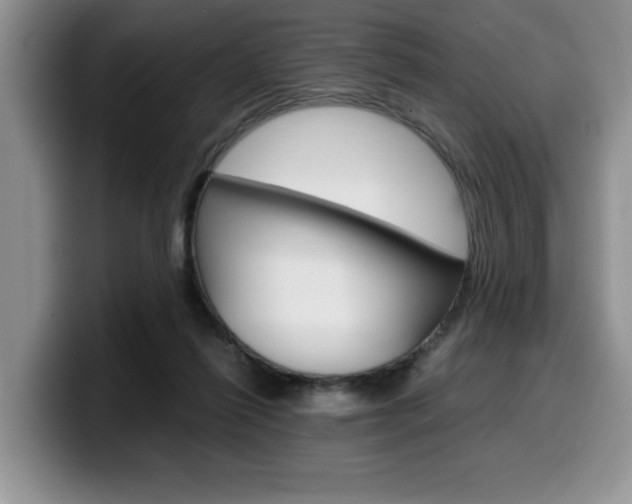 X0000100230262200805300730
