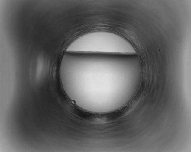 X0000100230263200805300730