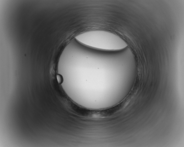 X0000100230264200805300730