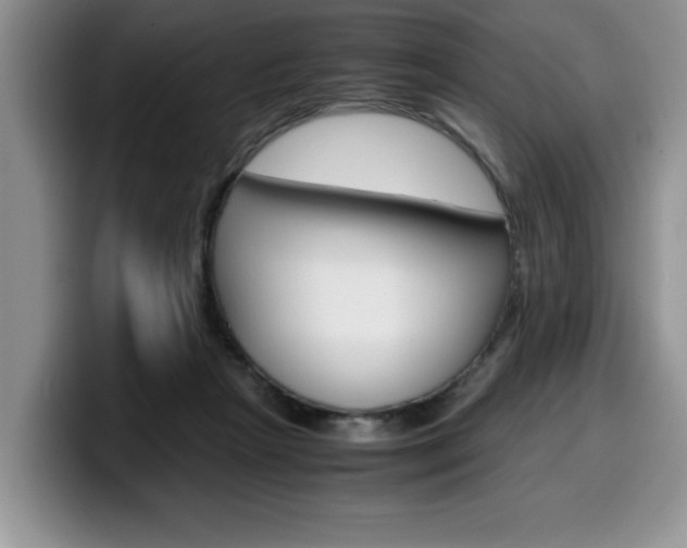 X0000100230265200805300730