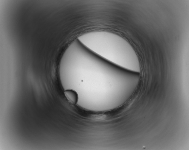 X0000100230266200805300730