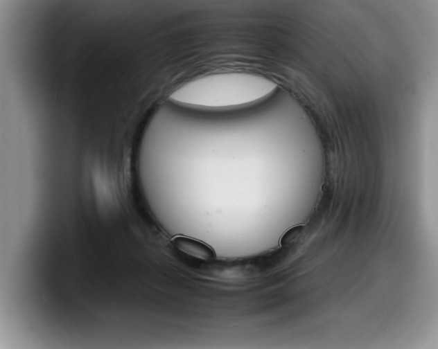 X0000100230267200805300730