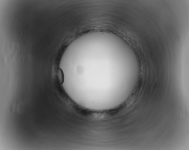 X0000100230272200805300730