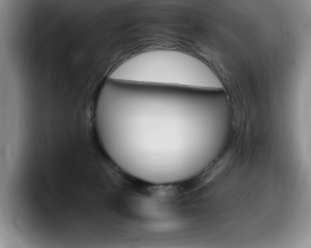 X0000100230273200805300730