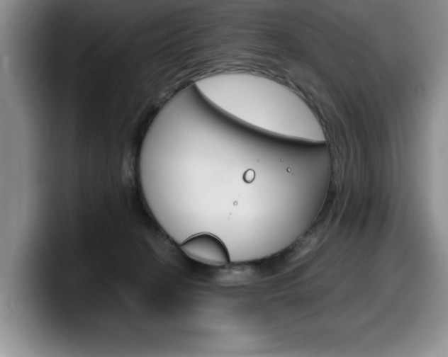 X0000100230274200805300730
