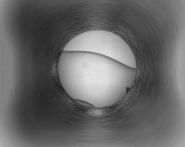 X0000100230276200805300730