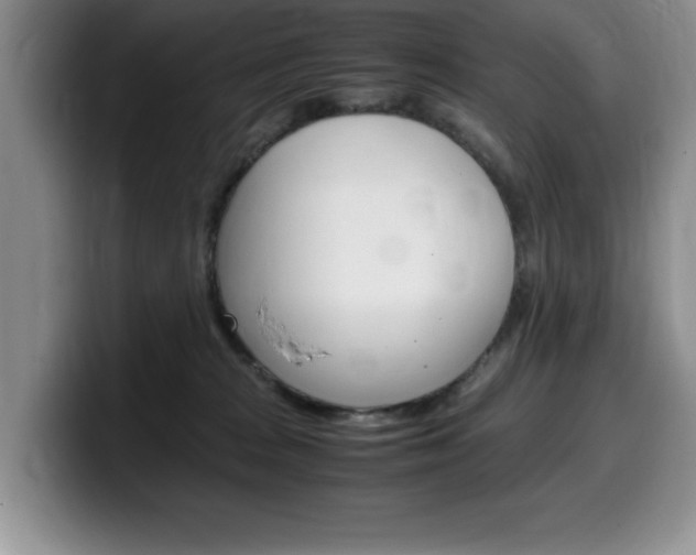 X0000100230277200805300730