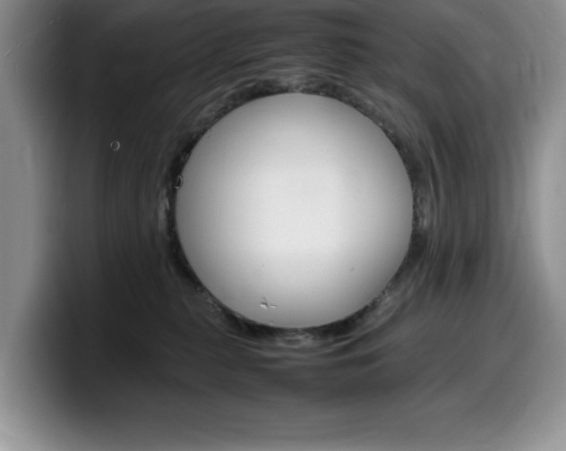 X0000100230279200805300730