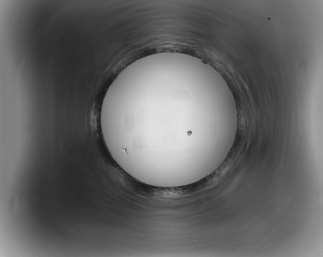 X0000100230282200805300730