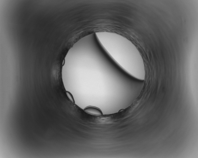 X0000100230283200805300730