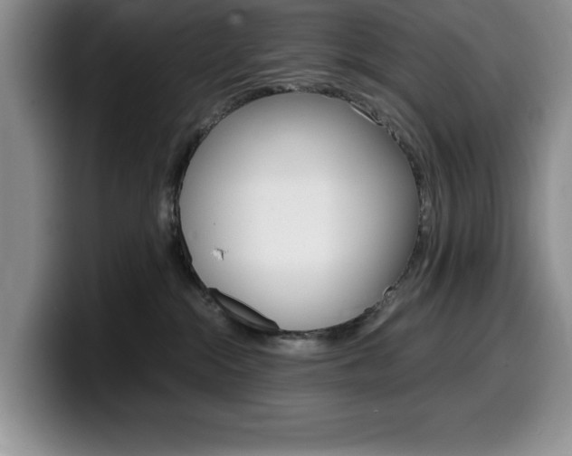 X0000100230284200805300730