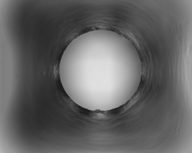 X0000100230285200805300730