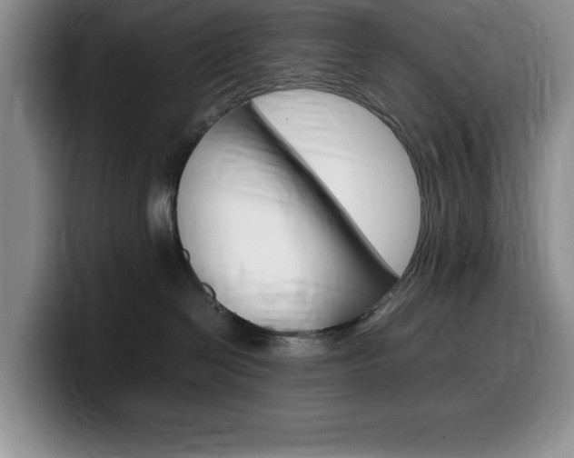 X0000100230286200805300730