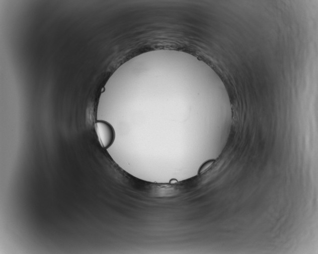 X0000100230287200805300730