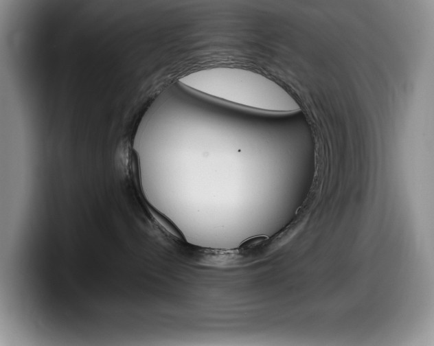X0000100230288200805300730