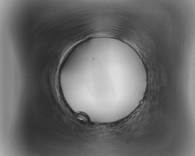 X0000100230289200805300730