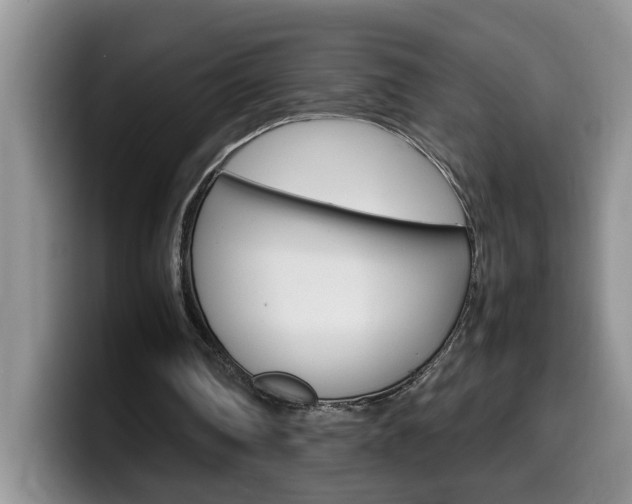 X0000100230290200805300730
