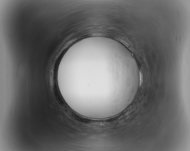 X0000100230291200805300730