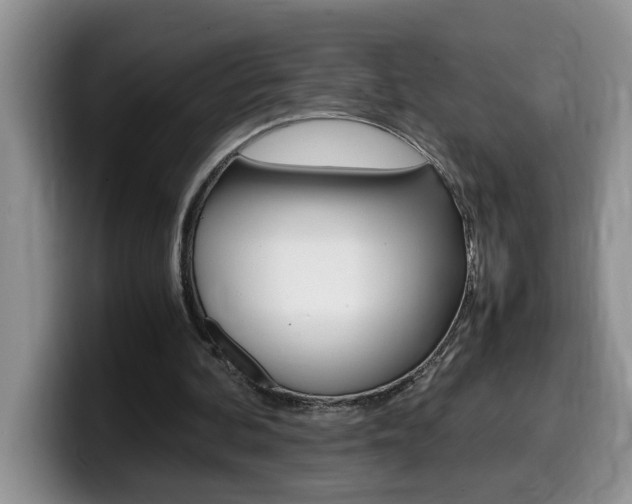 X0000100230292200805300730