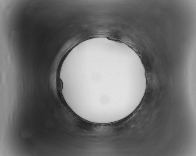 X0000100230293200805300730