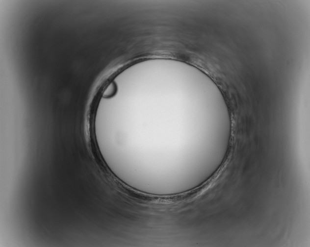 X0000100230294200805300730