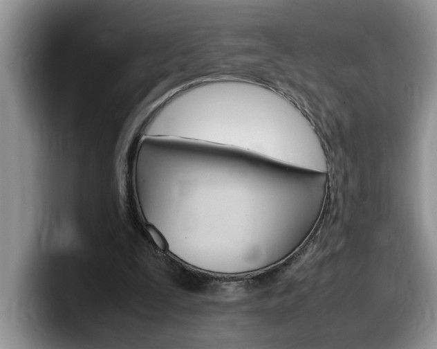X0000100230295200805300730