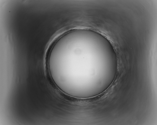 X0000100230296200805300730
