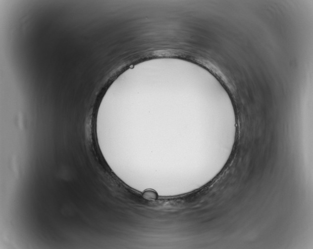 X0000100230297200805300730