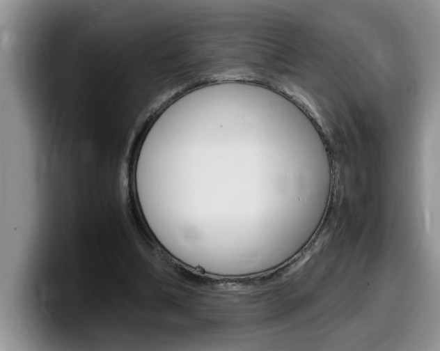 X0000100230298200805300730