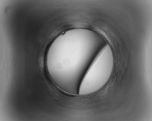 X0000100230299200805300730
