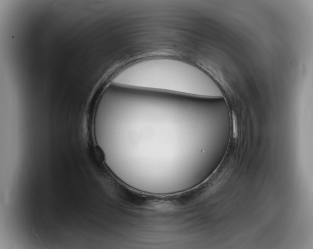 X0000100230300200805300730