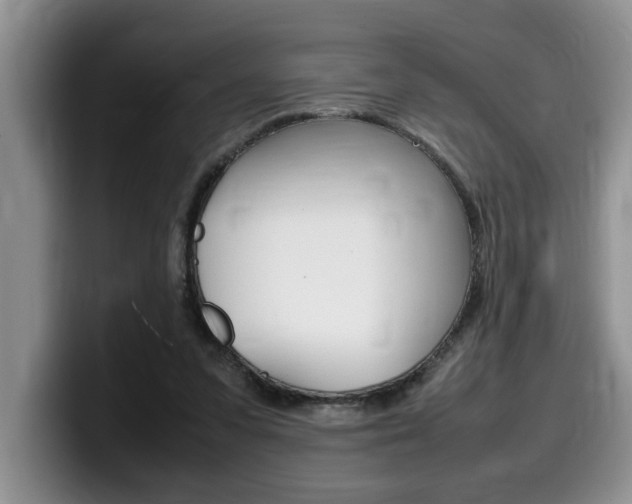 X0000100230303200805300730