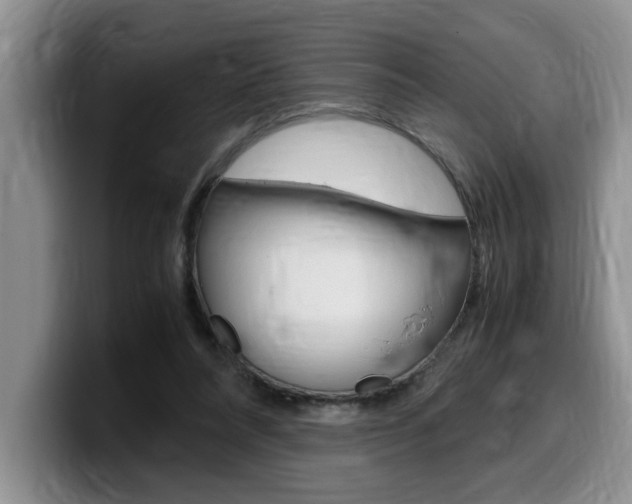 X0000100230304200805300730