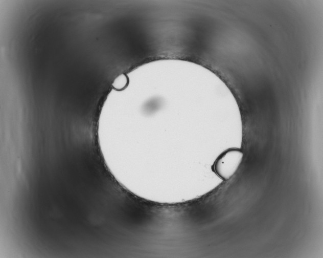 X0000100230305200805300730