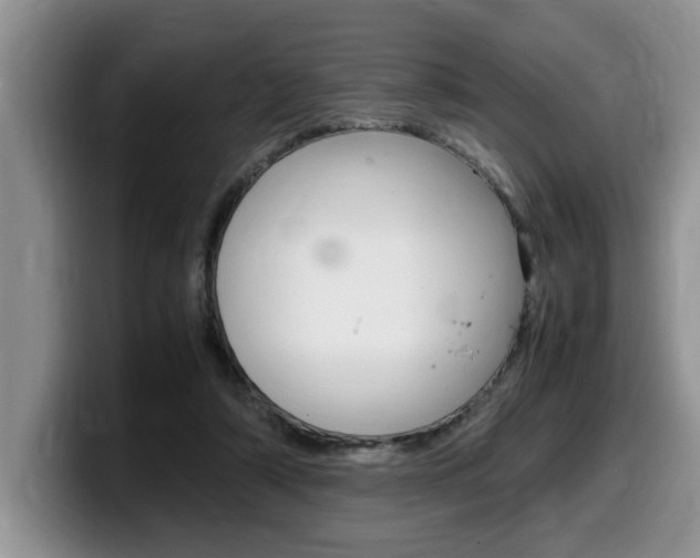 X0000100230306200805300730
