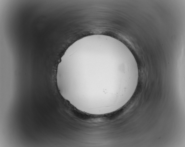 X0000100230307200805300730