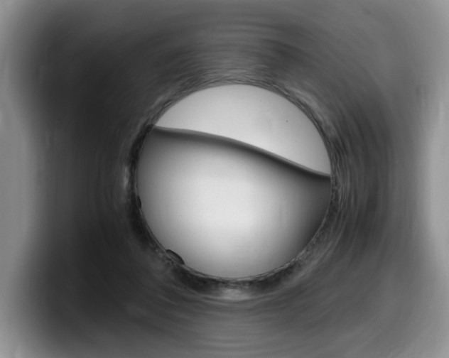 X0000100230308200805300730