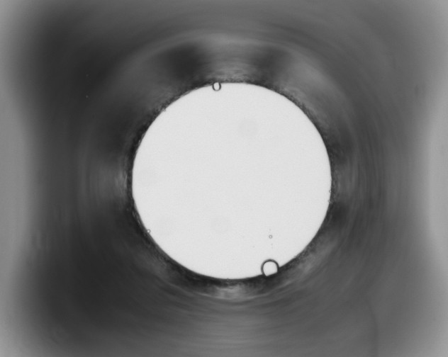 X0000100230309200805300730