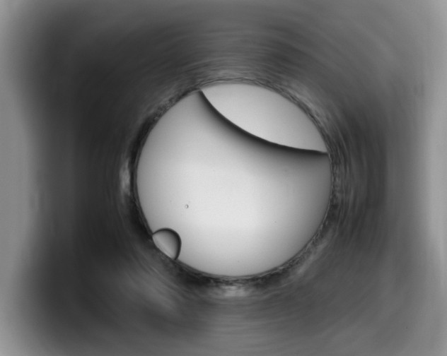 X0000100230310200805300730