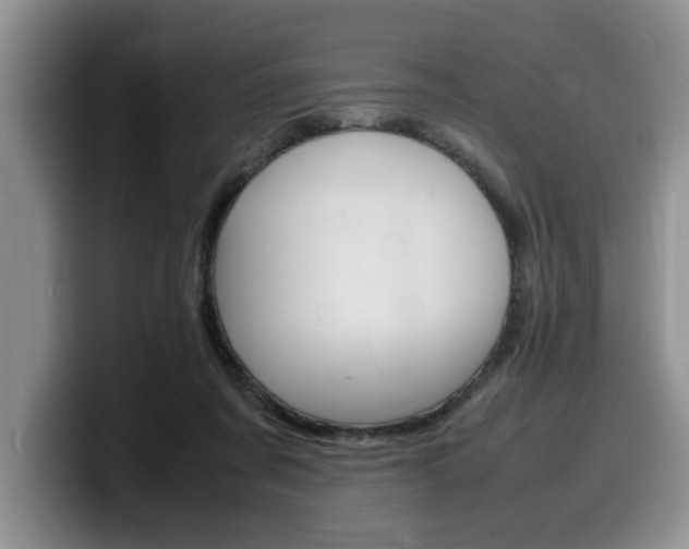 X0000100230311200805300730